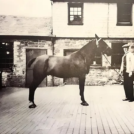 Ravenstone