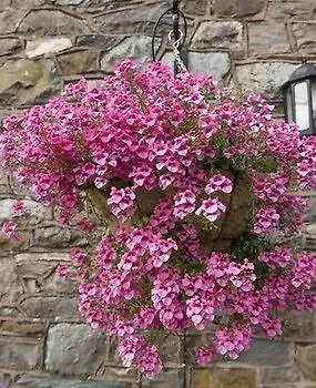 Landhaus Ravenstone Keswick (Cumbria)