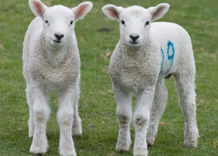 Country house Ravenstone