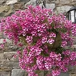 Country house Ravenstone Keswick (Cumbria)